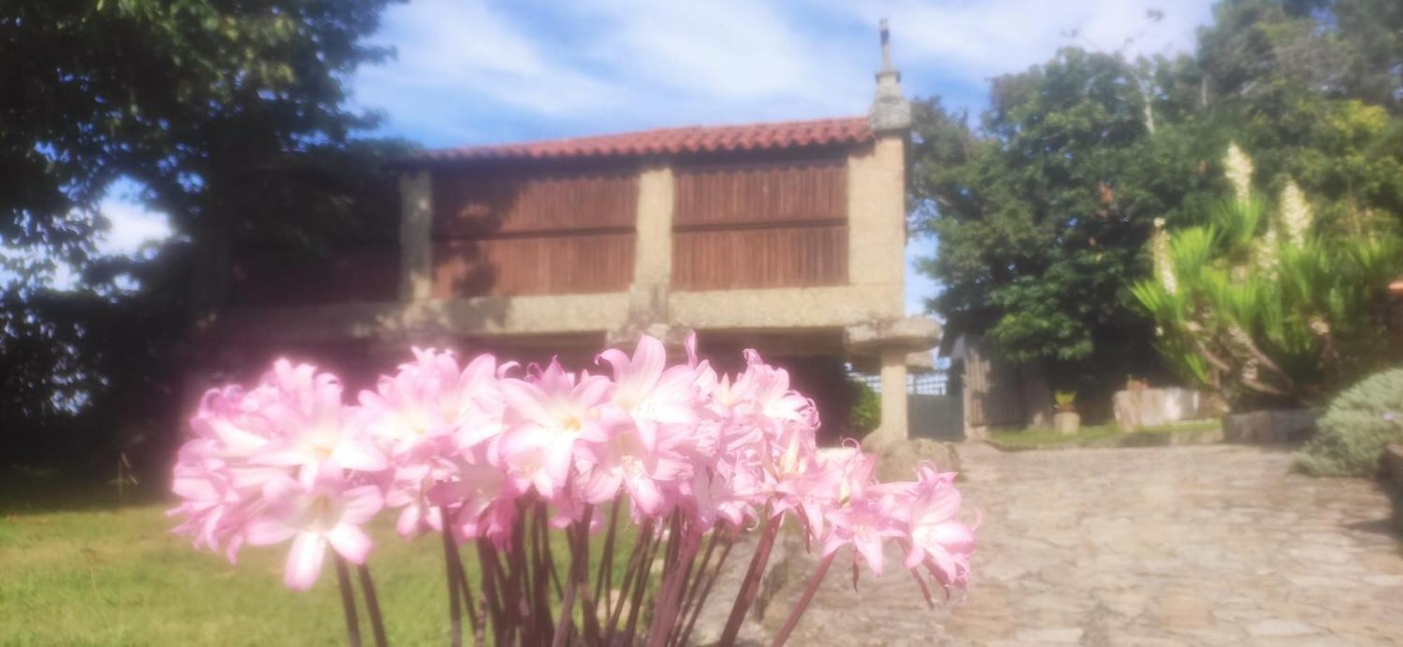 Гостевой дом Casal De Folgueiras Rias Baixas Мейс Экстерьер фото